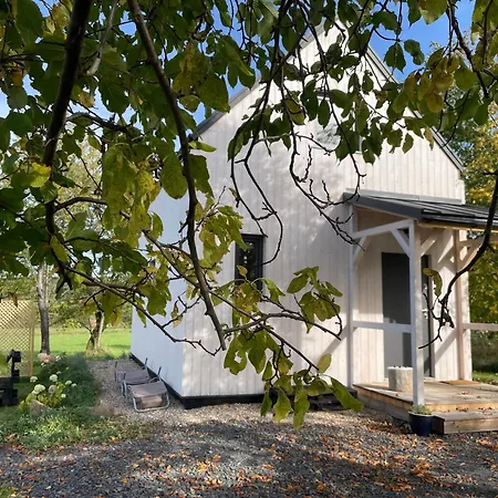 Astroturystyka Izeria * Leśna