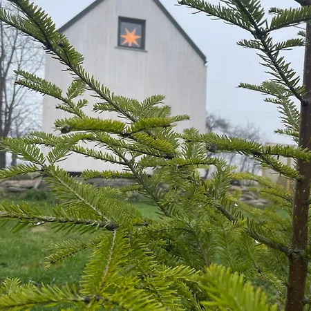 Astroturystyka Izeria * Leśna