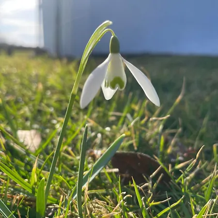Astroturystyka Izeria Σαλέ Leśna