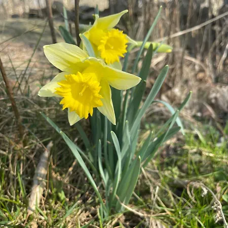 Astroturystyka Izeria 木屋 *