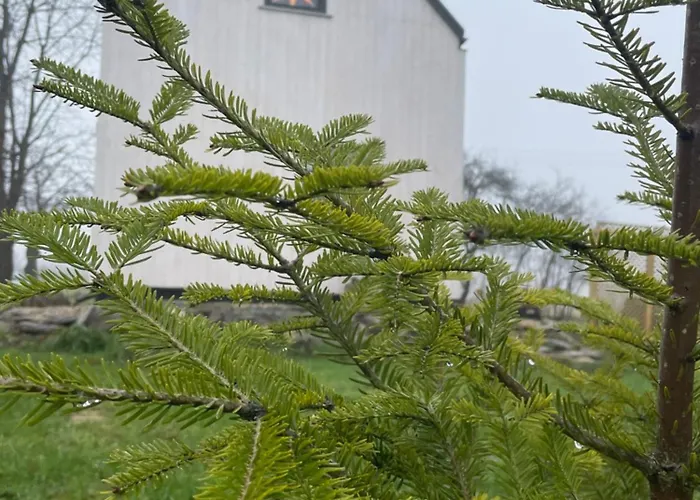 Astroturystyka Izeria * Лесьна