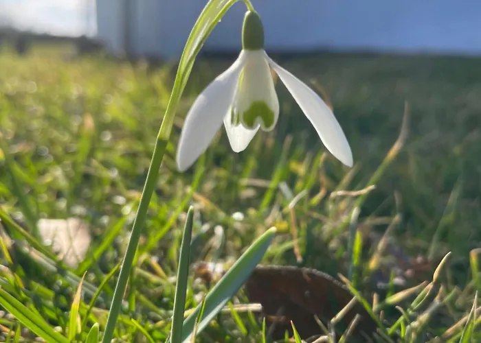 Astroturystyka Izeria Шале Лесьна