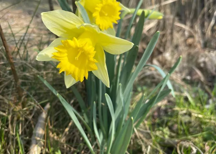 Astroturystyka Izeria Σαλέ *