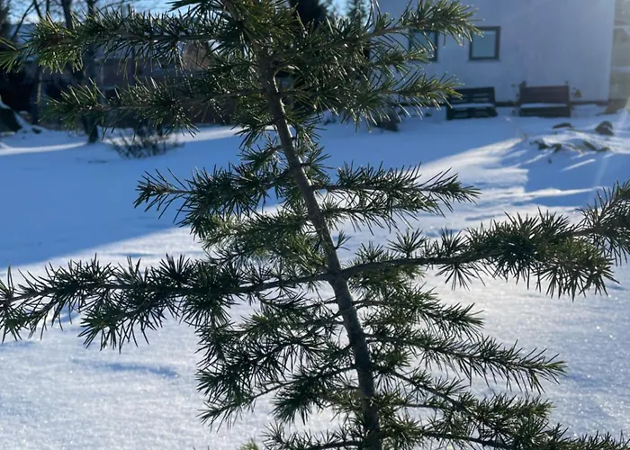 Astroturystyka Izeria Шале