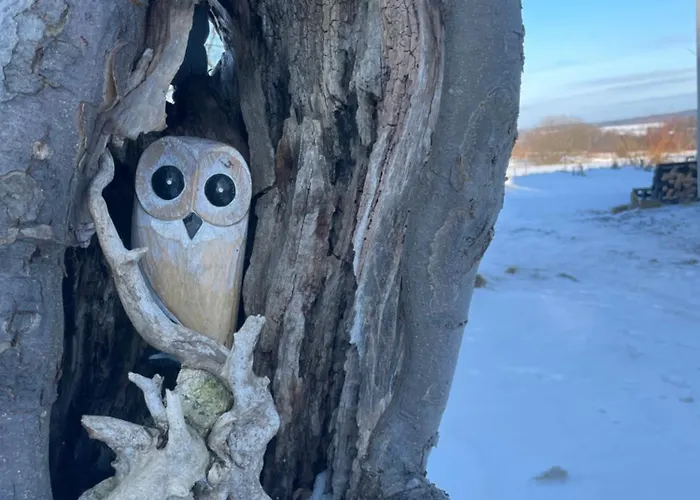 Astroturystyka Izeria Шале Лесьна